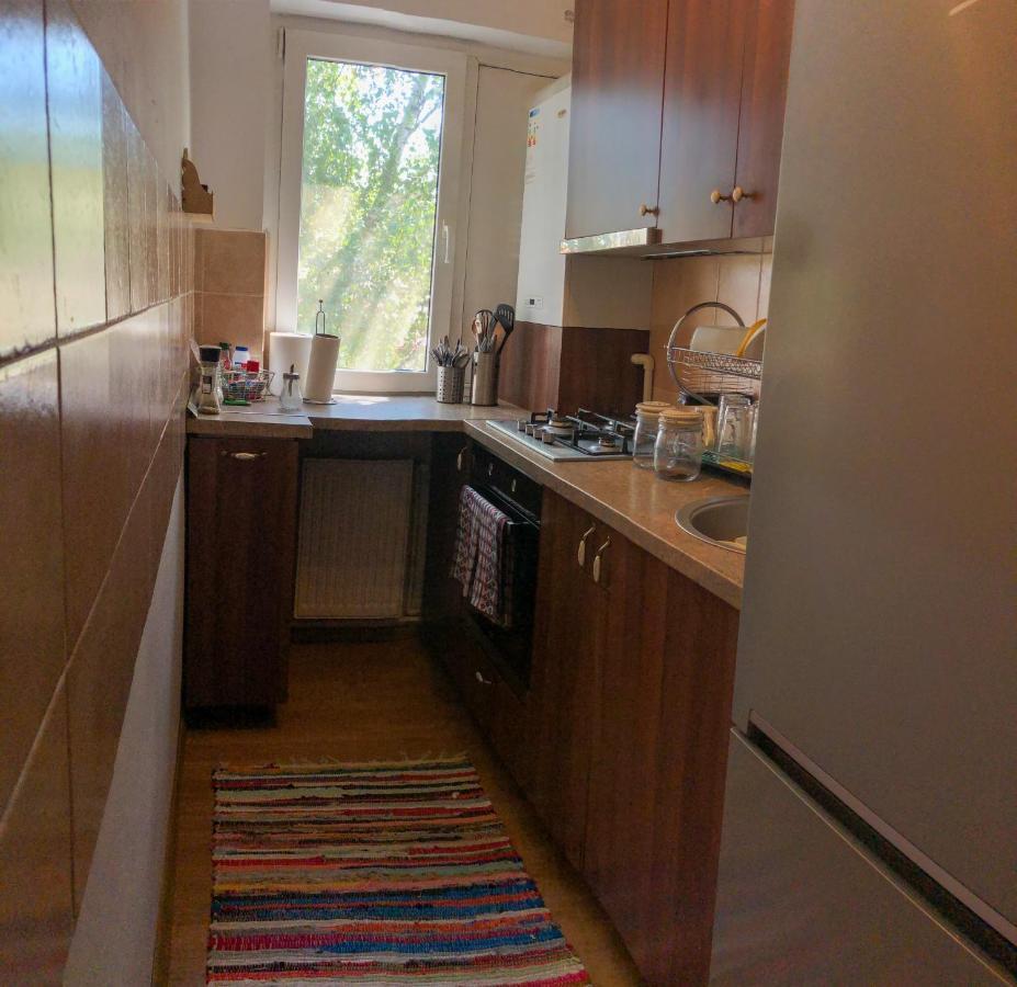 Cozy Apartment Bukovina Suceava Extérieur photo